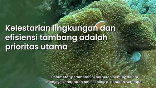 Laporan Observasi Telapak, Universitas Khairun, dan Universitas Indonesia atas Praktik Keberlanjutan Harita Nickel di Pulau Obi